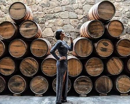 RUTA DEL VINO Y SINGANI DE ALTURA FULL DAY BODEGAS INDUSTRIALES