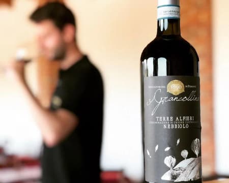 DEGUSTAZIONE DI VINI TERRE ALFIERI E PRANZO O CENA PRESSO LA CANTINA GRANCOLLINA
