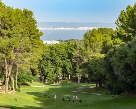 Golf Son Vida