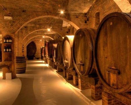 Excursión a Bodegas y Aceiteras