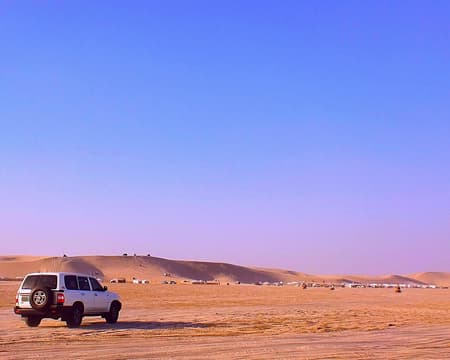 Morning Desert safari 