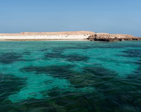 Marine Half Day Tour - Al Dimaniyat Islands 