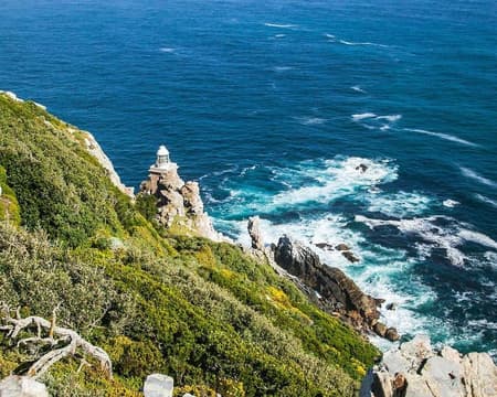 Cape Peninsula Tour with Private Transfers 