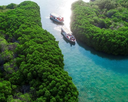 Farsan Island Trip