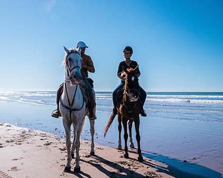 Spend an amazing day with horses on beach