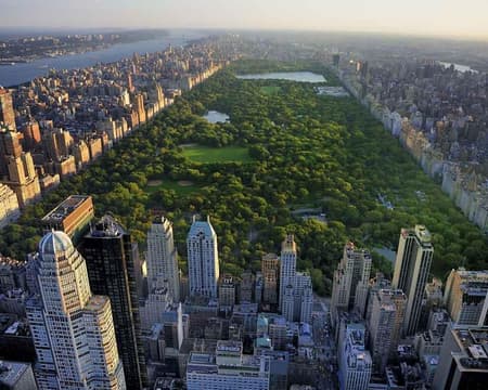 Alto y Bajo Manhattan 