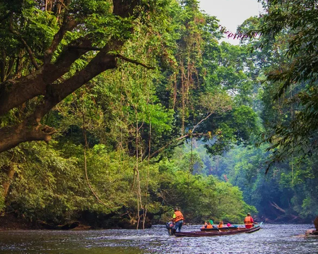 Tahan River Boat Trip (Lata Berkoh & Fish Sanctuary) 