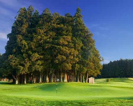 Furnas Golf Course