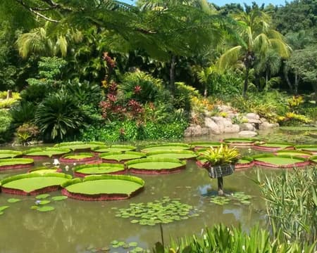LA RINCONADA - PAQUETE PISCINA