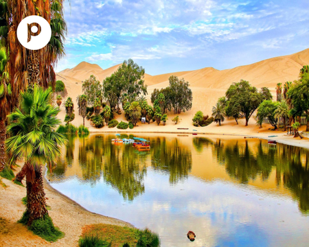 Full Day Islas Ballestas, Ica, Huacachina desde Lima - Compartido