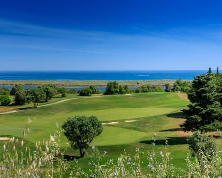 Palmares Golf