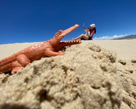 ZONA ALTA TARIJA DUNAS DE ARENA - TAJZARA