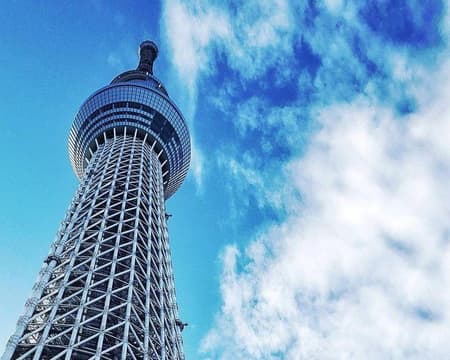 Ganztägige Tokio-Tour mit englisch-, spanisch- oder deutschsprachigem Reiseleiter und Fahrzeug (privat)