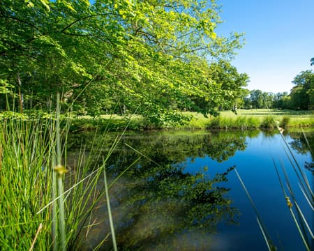 Golf de la Freslonnière