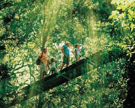 O'Reilly's & Lamington National Park from Gold Coast