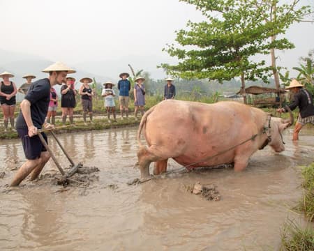The Local Life: Land Rice Farming Experience