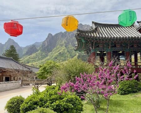 Seoraksan Peaks & Sokcho Shores: An Adventure Through Korea's Scenic Wonders (Private)