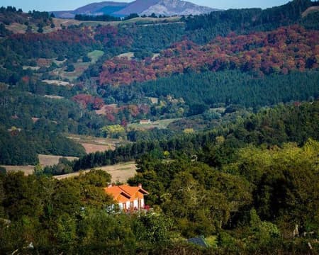 Casa rural + Cueva de Pozalagua + Viñedo