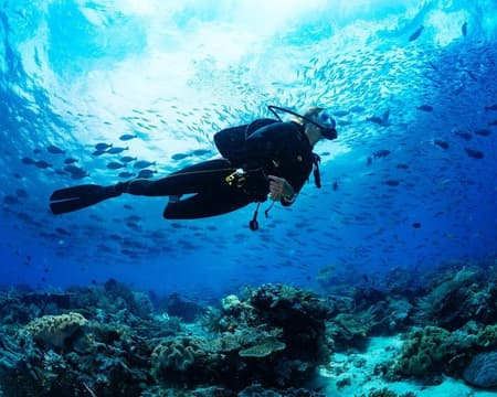 Red Sea discovery 