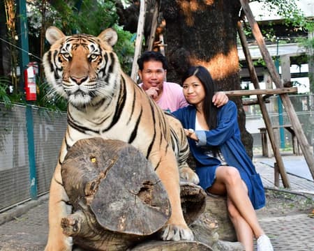 Tiger Park Pattaya