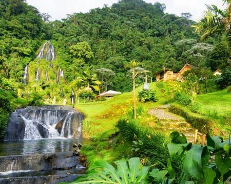 Coffee culture and hot springs