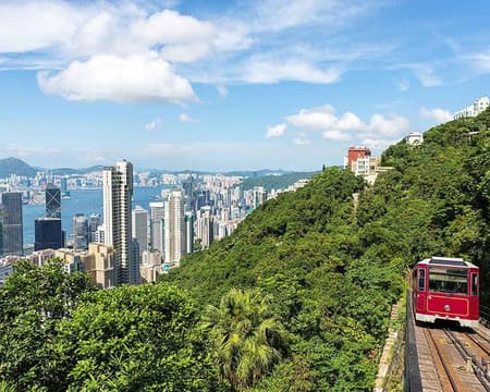 Half Day evening City Tour with Peak Tram (one way) + Madam Tussauds with Snacks Box OR. Sit Down Lunch