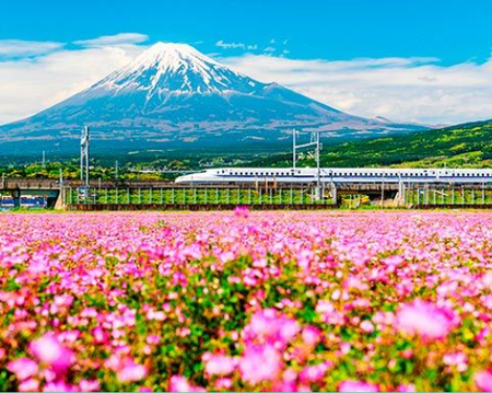 Japan Rail Pass 7D Ordinary