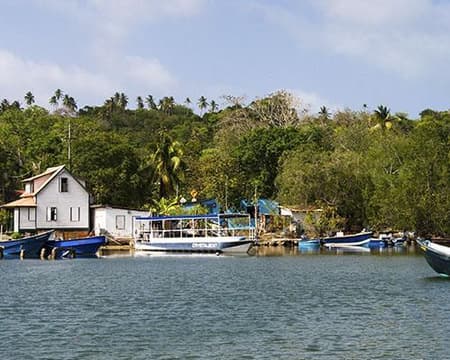  REGULAR EXCURSION TO JOHNNY CAY, MANGROVES AND HAYNES CAY (AQUARIUM)