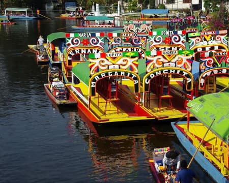 TOUR DE CIUDAD CON XOCHIMILCO, CIUDAD UNIVERSITARIA Y COYOACÁN (CVU)