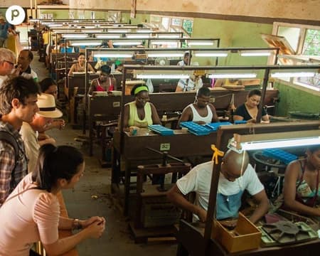 Habana + fabrica de tabacos