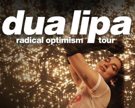 Entrada Concierto Dua Lipa CDMX - CVU