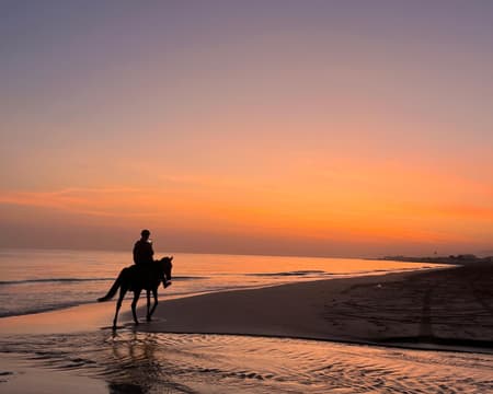Horse Riding by the beach