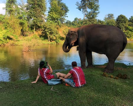 Elephant Habitat Experience