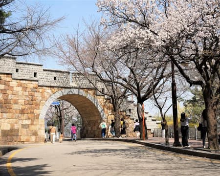 Free & Easy Day to Discover Gyeonggi Province with a 9-Hour Van Rental and English-Speaking Driver
