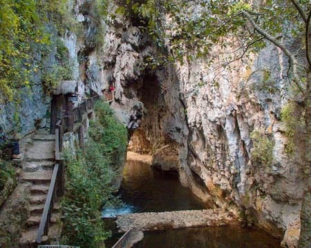 GRUTAS DE RANCHO NUEVO Y ARCOTETE CON TRANSPORTACIÓN (CVU)