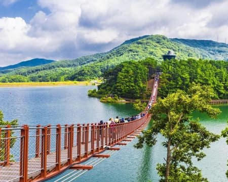 Seoul Adventures: DMZ Tour, Korean Cuisine, And More of the City (Private)