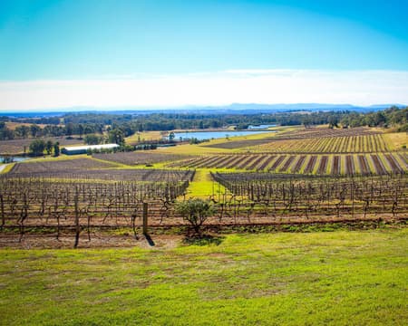 Hunter Valley - Private Tour