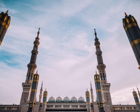 Full Day Medinah Experience without Lunch-Private Tour