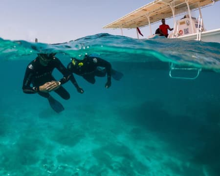 Snorkeling Trip To Daymaniyat Islands - Shared Trip