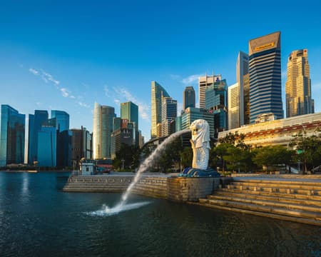 Guided City Tour of Singapore