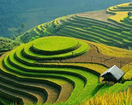 Halfday Walks Through Rice Fields - Private