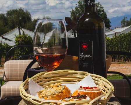 RUTA DEL VINO Y SINGANI FULL DAY BODEGAS INDUSTRIALES DE ALTA GAMA