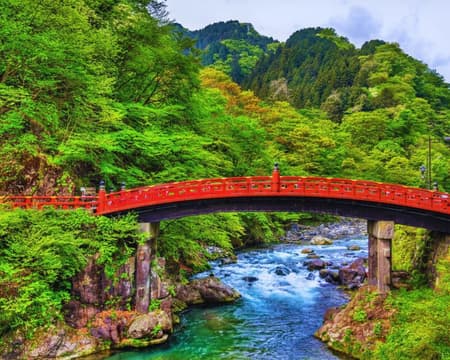 Full Day Nikko Tour from Tokyo with a Multilingual Guide by Public Transportation (Private)