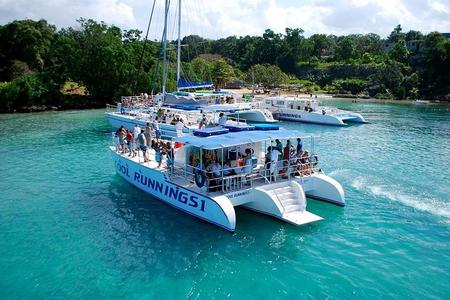 Crucero de fiesta por las cataratas del río Dunn con esnórquel