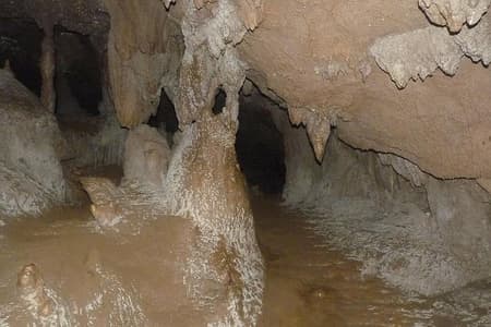 Escursione alla grotta di Saint Herman e tour Blue Hole da Belize City