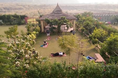 Yoga In Jaipur