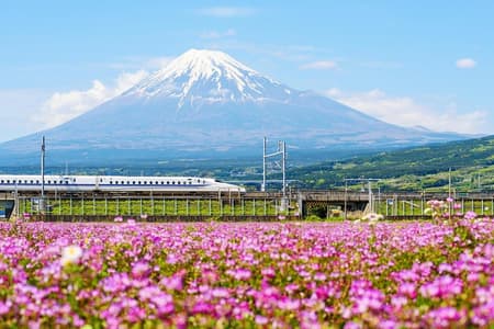 Bullet Train and Mt. Fuji Famous Food Tour