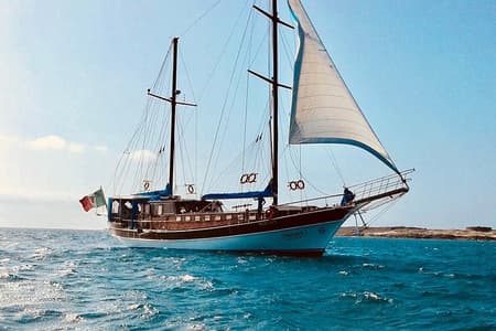 Boa Vista Cruzeiro Somente para Adultos