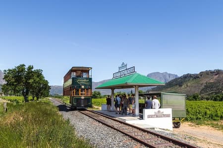 Full-Day Franschhoek Hop On Hop Off Wine Tram Tour from Cape Town