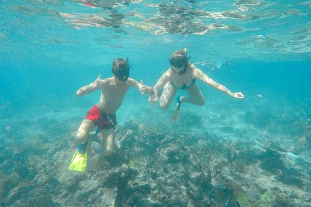 Isla Catalina - Experiencia de todo el día con todo incluido